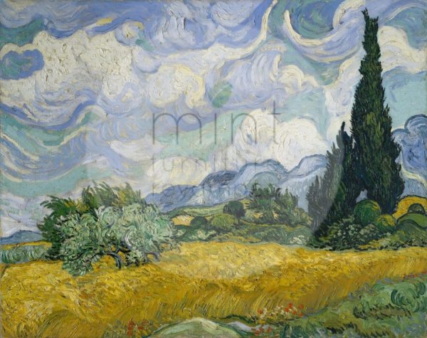 wheatfield-with-cypresses